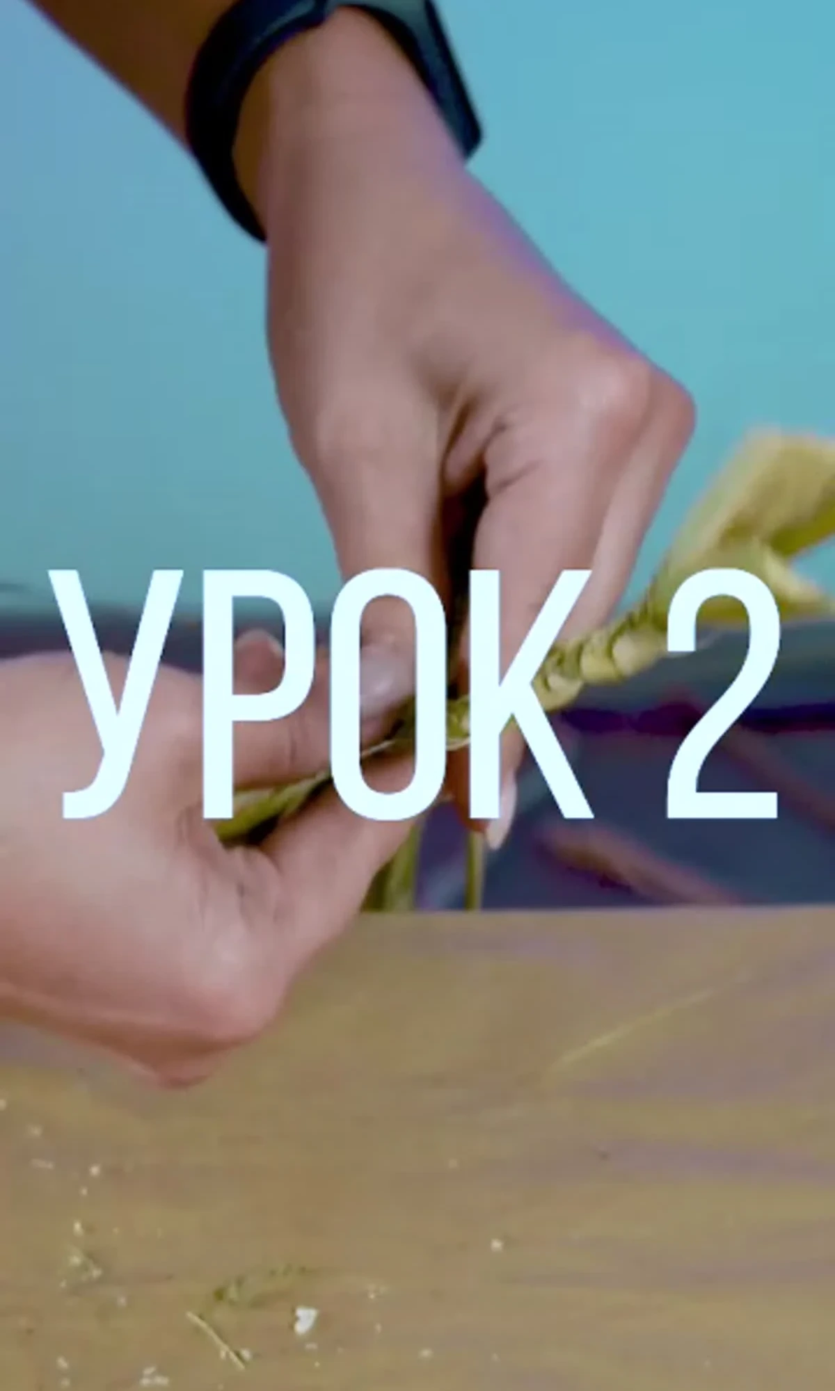Заполнение каркаса герберами и укропом — кадр 1